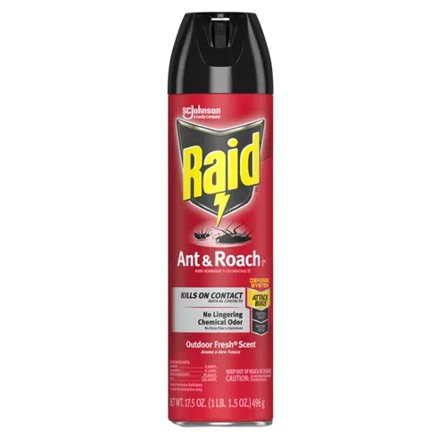 Raid Ant & Roach Killer 26