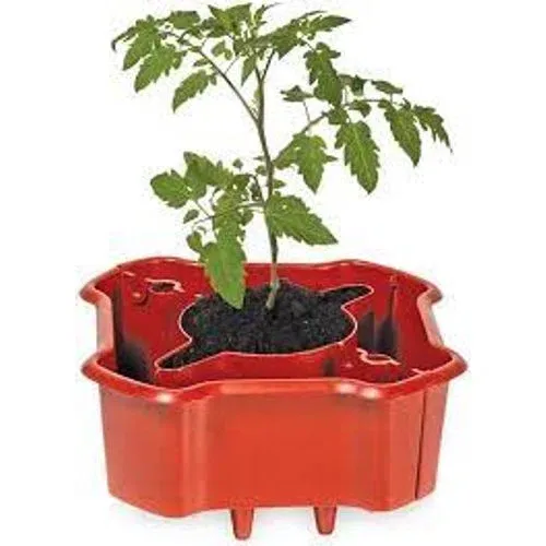 Gardener's Supply Deluxe Tomato Halo