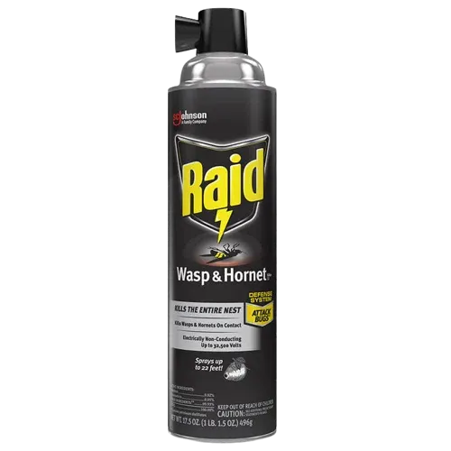 Raid Wasp & Hornet Killer 33