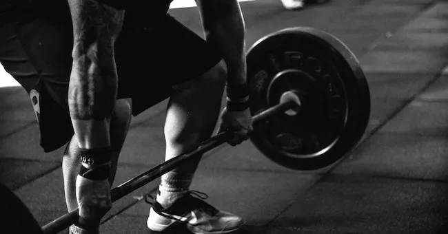 Muscle Building: Science, Strategies, and Success