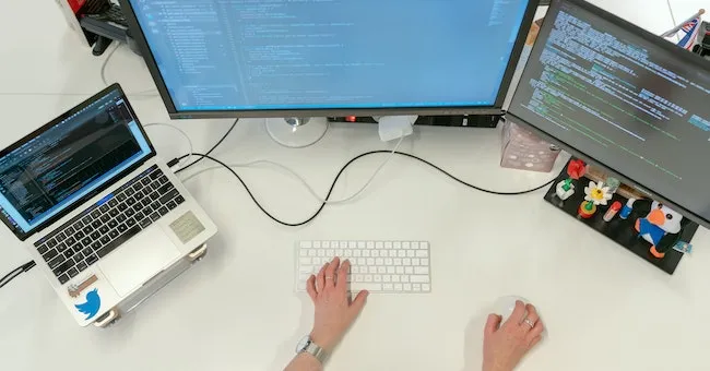 Exploring the Essential Flavor of Software Development: The Intricacies of Salt Software