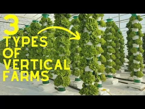Vertical Farming 2023 3 Different Types Of Vertical Farms