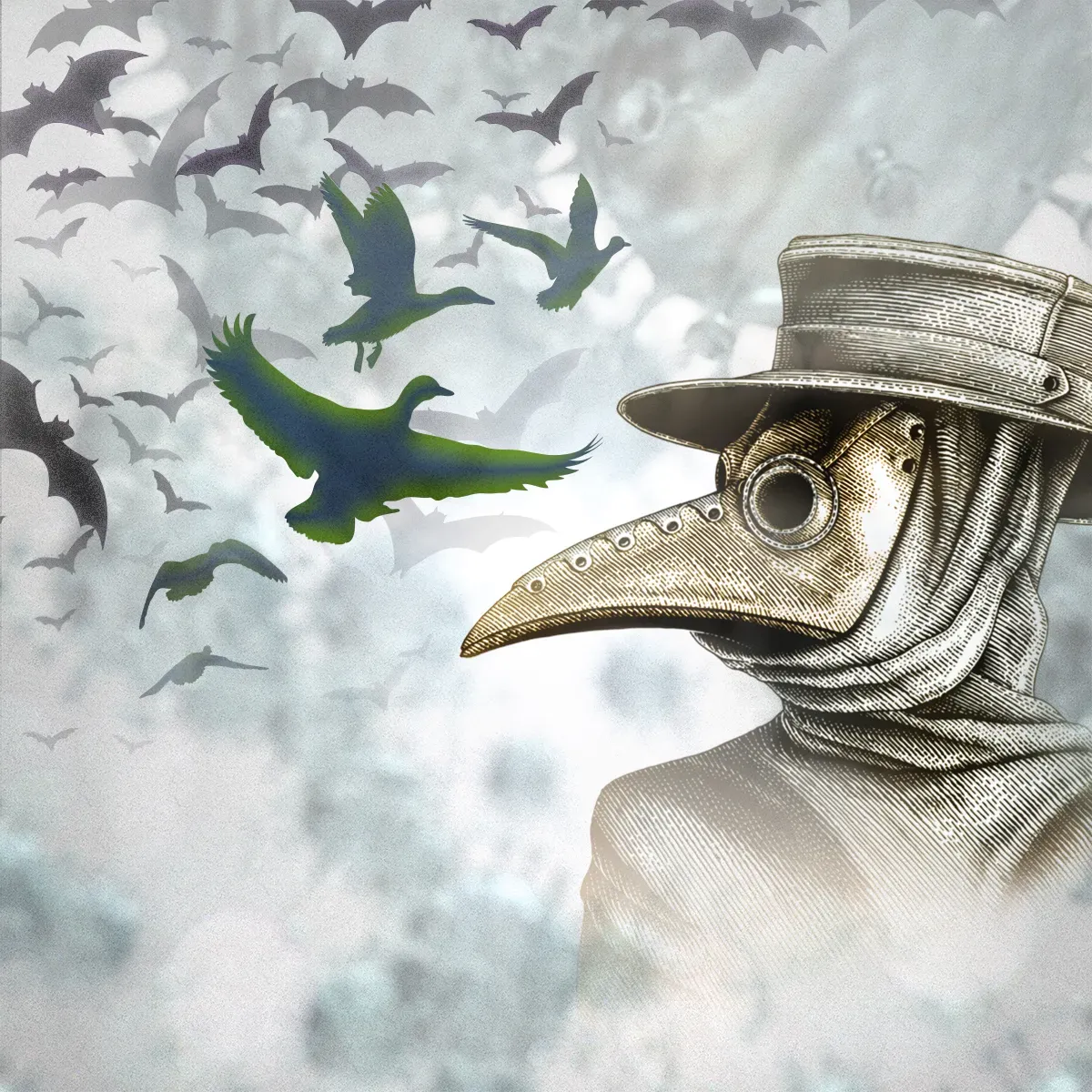 Bats Ducks and Pandemics: An Introduction to One Health Policy