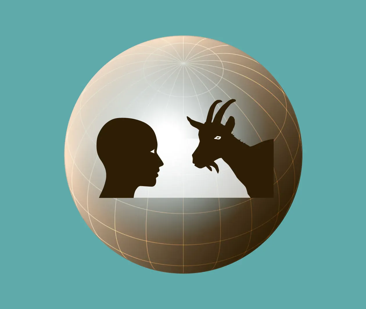 One Health: Connecting Humans Animals and the Environment