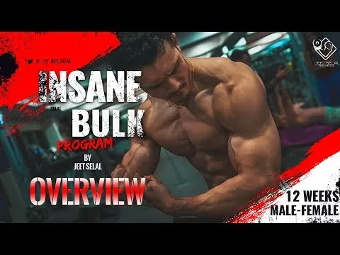 INSANE BULK "PROGRAM OVERVIEW"- 12 weeks Muscle Building Program [FREE] Designed By Jeet Selal