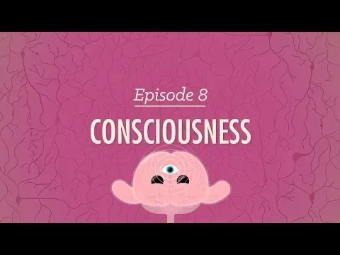 Consciousness: Crash Course Psychology #8