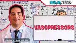 Vasopressors: Inodilators Inopressors Pure Vasopressors Methylene Blue Midodrine