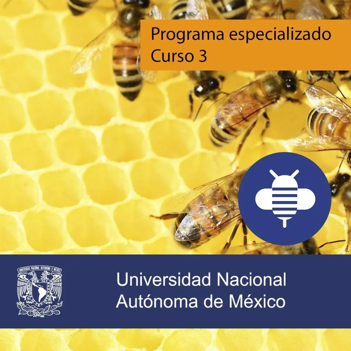 Introduccion al mercado
