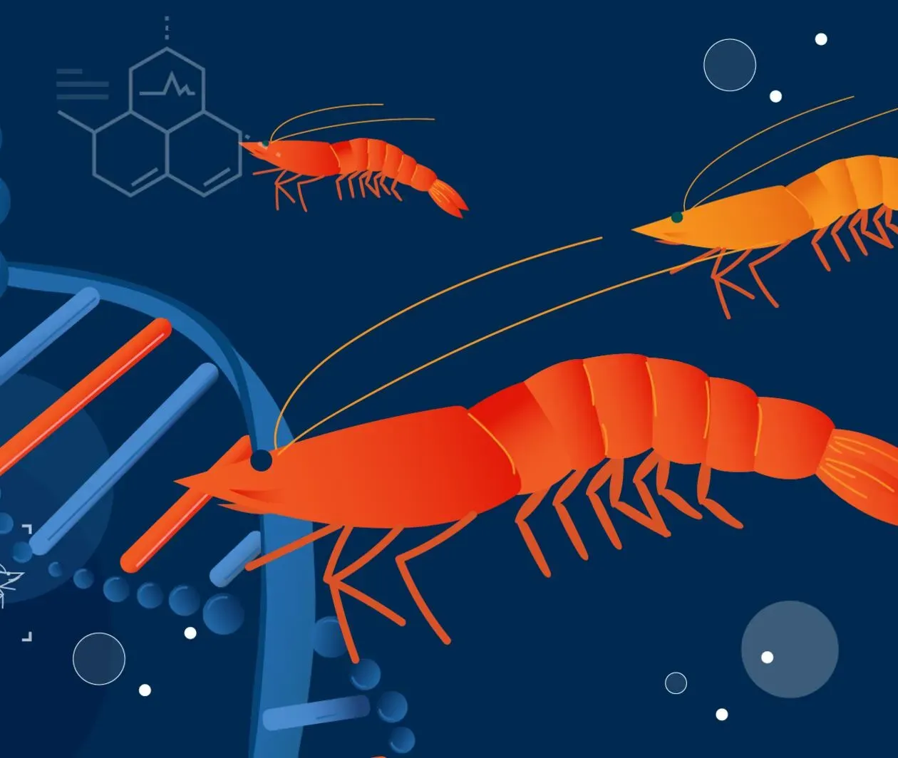 Molecular Biology: How to Detect Pathogens in Aquaculture