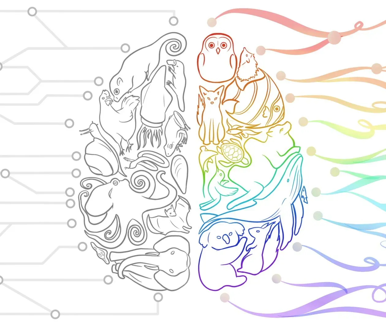 Research Methods in Psychology: Using Animal Models to Understand Human Behaviour
