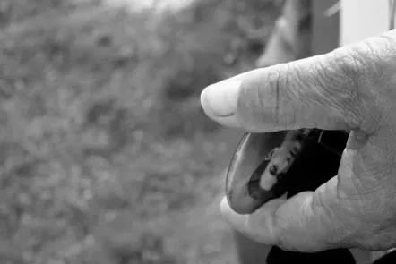 How We Remember War and Violence: Theory and Practice