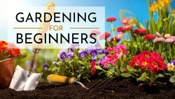 Gardening For Beginners (New plants added regularly)Beginner