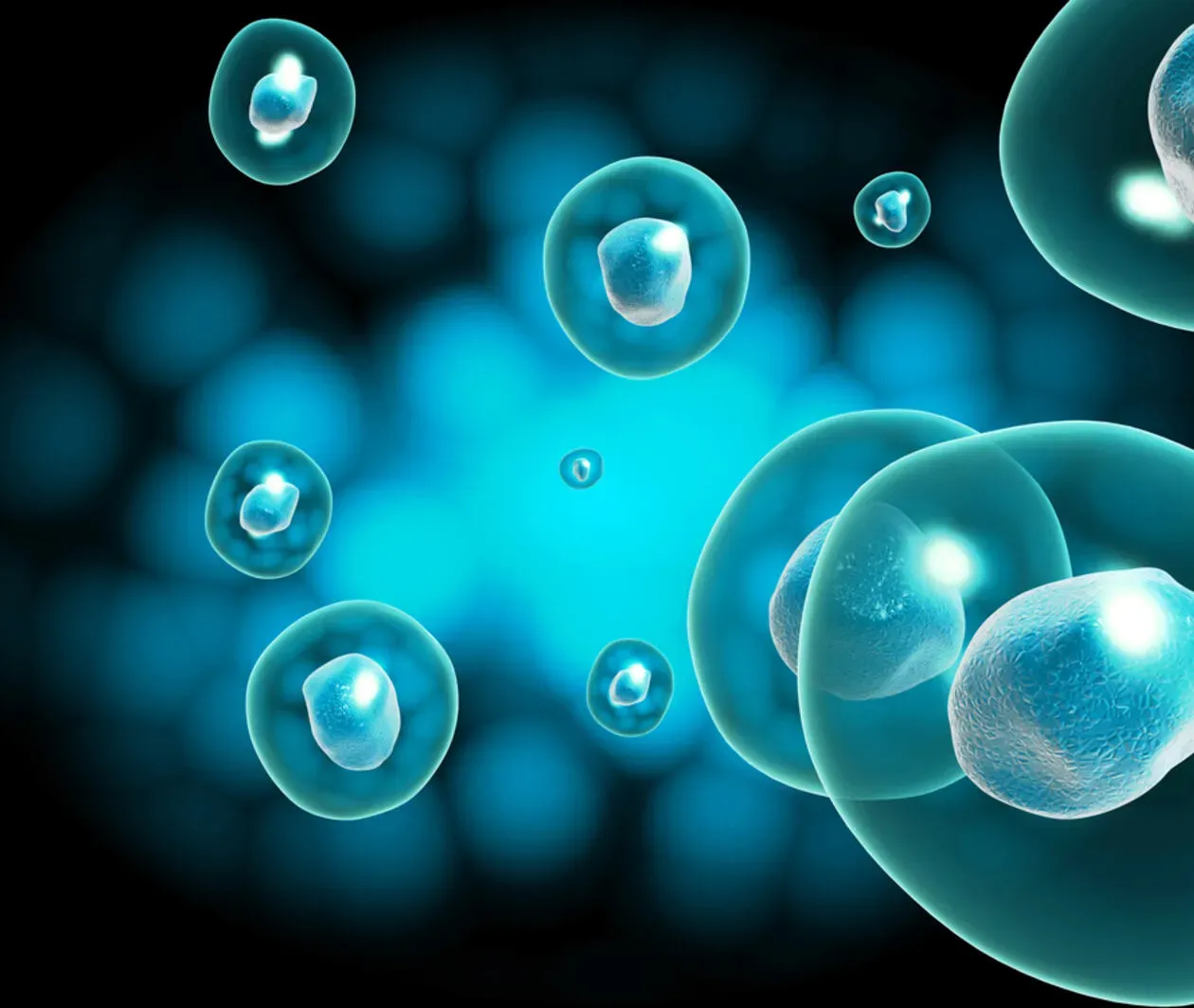 The Basis of Life: Understanding Human Cells