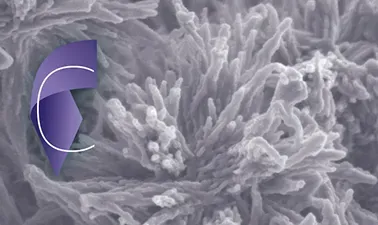 Cement Chemistry and Sustainable Cementitious Materials