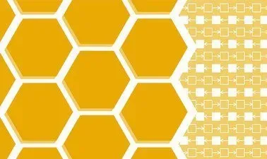 Data Structures & Algorithms I: ArrayLists LinkedLists Stacks and Queues