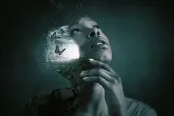 Powerful Women and the Principles of Feminist Transformational Leadership