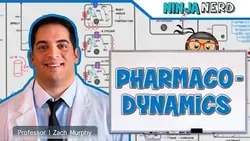 Pharmacodynamics