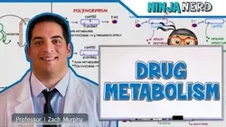 Pharmacokinetics Drug Metabolism