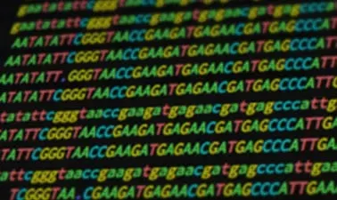 Case Studies in Functional Genomics