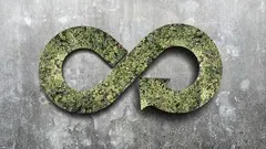 The Circular Economy
