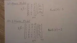 General Linear Models: Design of Experiments