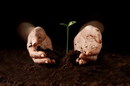 Soils - Online Course