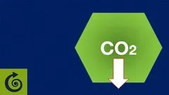 Net Zero