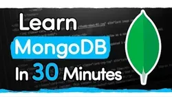 MongoDB Crash Course