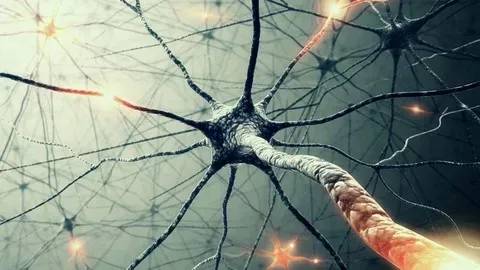Neural Networks and Deep Learning