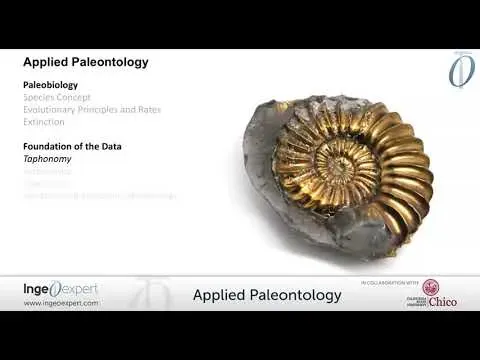 Applied Paleontology course