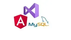 Create web app with Angular 12 NET Core Web API & MySQL