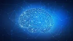 The Memory Enhancement And Improvement Course