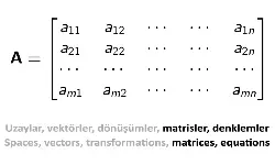 Doğrusal Cebir II: Kare Matrisler Hesaplama Yontemleri ve Uygulamalar & Linear Algebra II: Square Matrices Calculation Methods and Applications