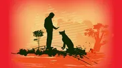 Crucial Concepts in Dog Behavior & Training